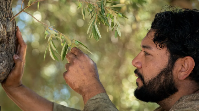 Expanding our Circles